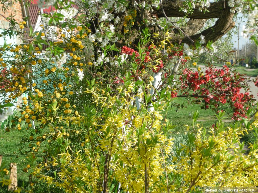 Маши и наша весна — Куклы Маша и Медведь (Simba): Маша в кармашке