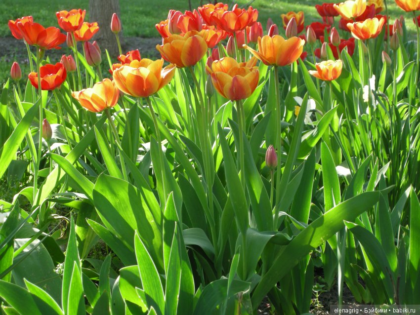 Маши и наша весна — Куклы Маша и Медведь (Simba): Маша в кармашке (фото 10)