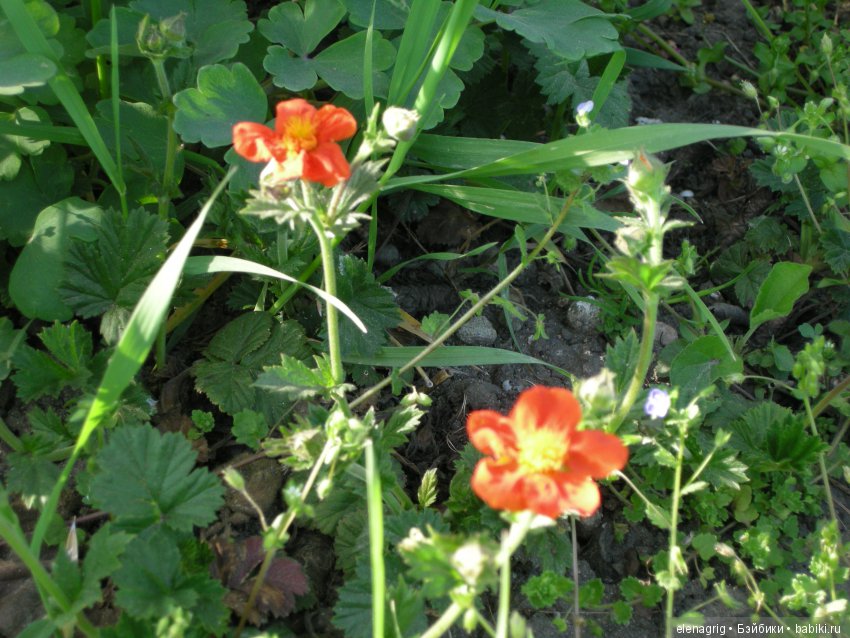 Маши и наша весна — Куклы Маша и Медведь (Simba): Маша в кармашке