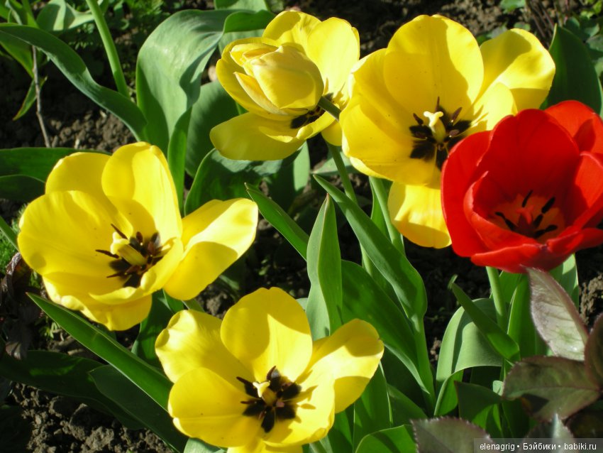 Маши и наша весна — Куклы Маша и Медведь (Simba): Маша в кармашке