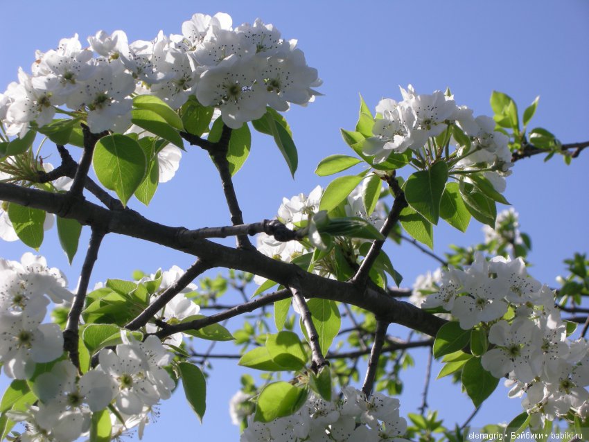 Маши и наша весна — Куклы Маша и Медведь (Simba): Маша в кармашке