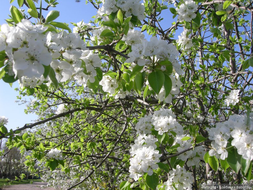 Маши и наша весна — Куклы Маша и Медведь (Simba): Маша в кармашке