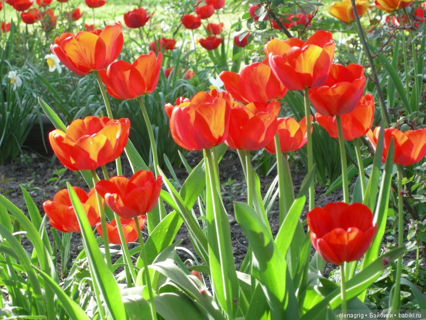 Маши и наша весна — Куклы Маша и Медведь (Simba): Маша в кармашке (фото 9)