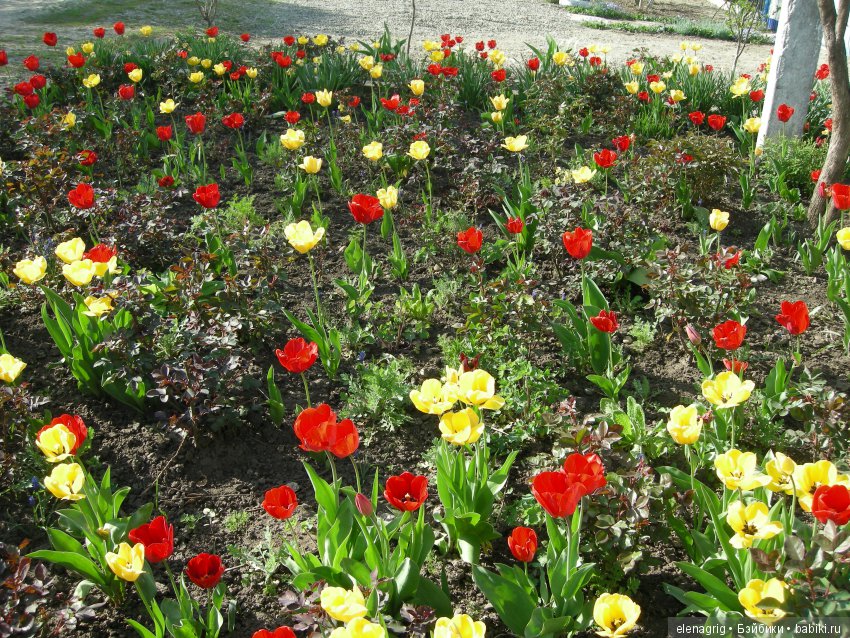 Маши и наша весна — Куклы Маша и Медведь (Simba): Маша в кармашке