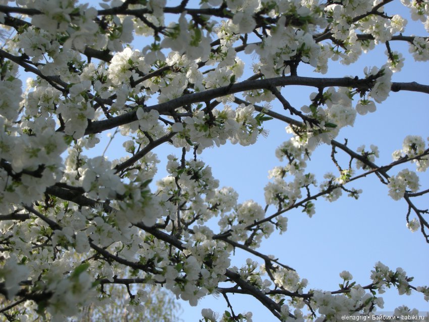 Маши и наша весна — Куклы Маша и Медведь (Simba): Маша в кармашке