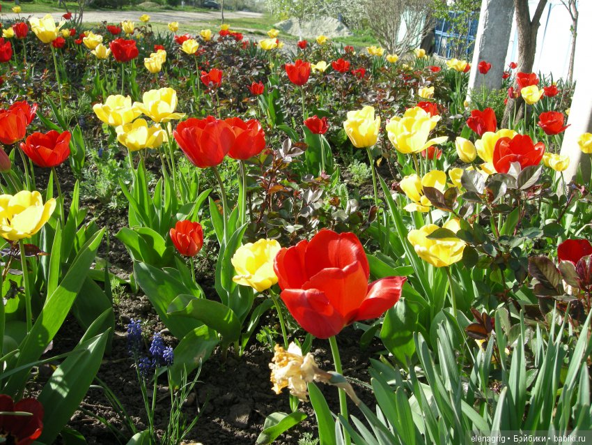 Маши и наша весна — Куклы Маша и Медведь (Simba): Маша в кармашке