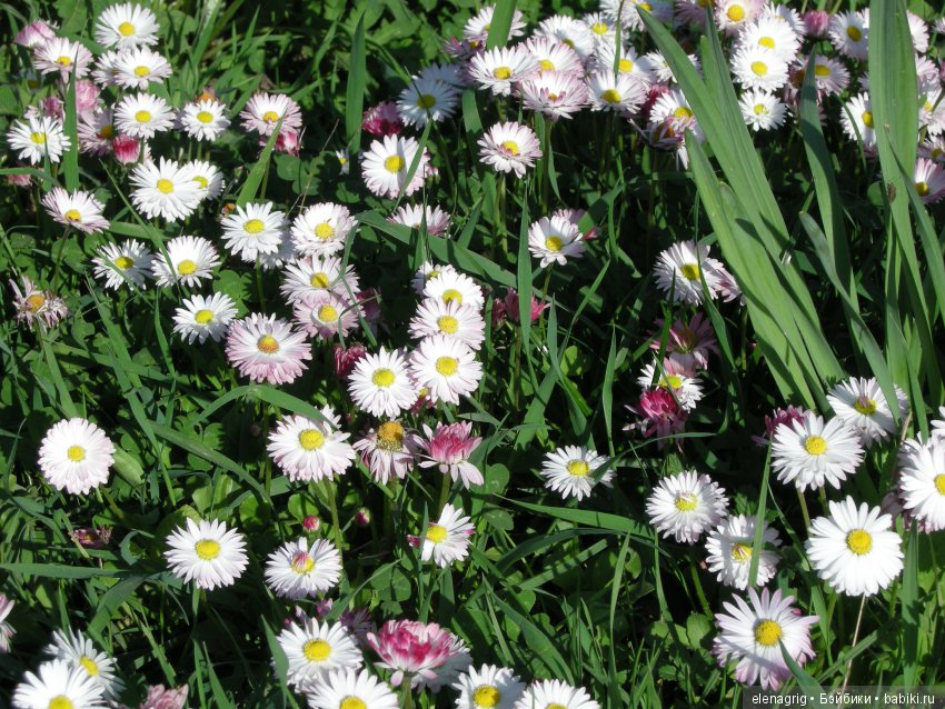 Маши и наша весна — Куклы Маша и Медведь (Simba): Маша в кармашке