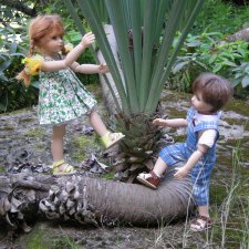 Я в Сочи, будто в чудной сказке. Прогулки плюшечек