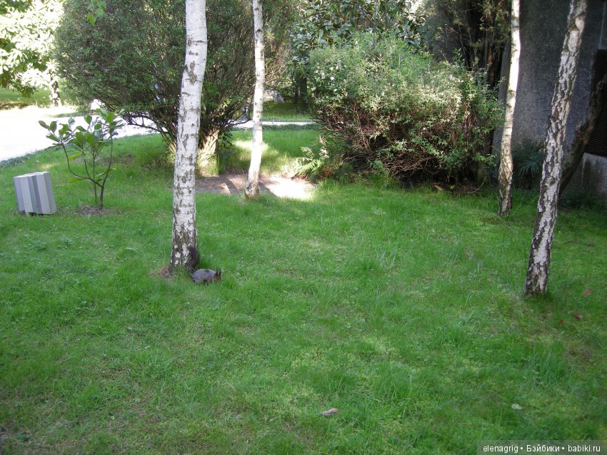 Куклы Kidz'n'Cats в Сочи. "Южное взморье" или лето в апреле (фото 6)