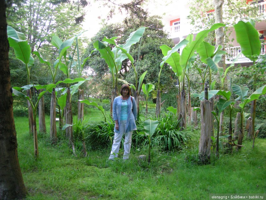 куклы Sonja Hartmann, Kidz'n'Cats