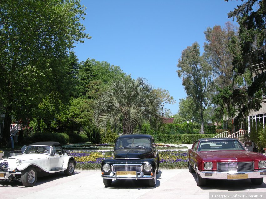 Куклы Kidz'n'Cats в Сочи. "Южное взморье" или лето в апреле (фото 5)