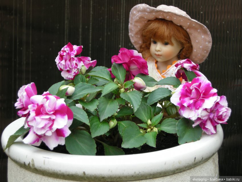 куклы Heidi Plusczok dolls, Хейди Плюсчок