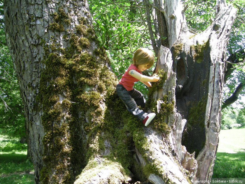 Sonja Hartmann, Kidz'n'Cats