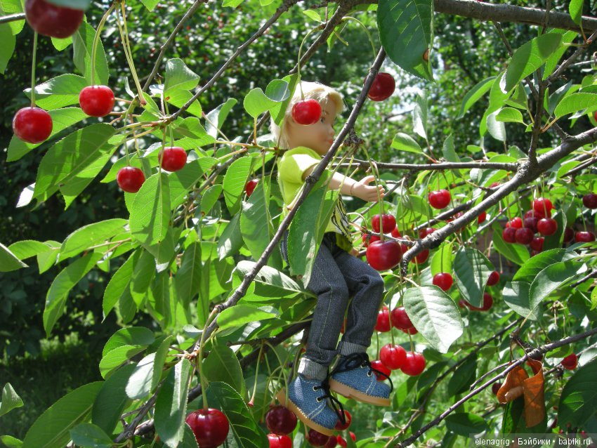 Куклы Kruselings от Kathe Kruse