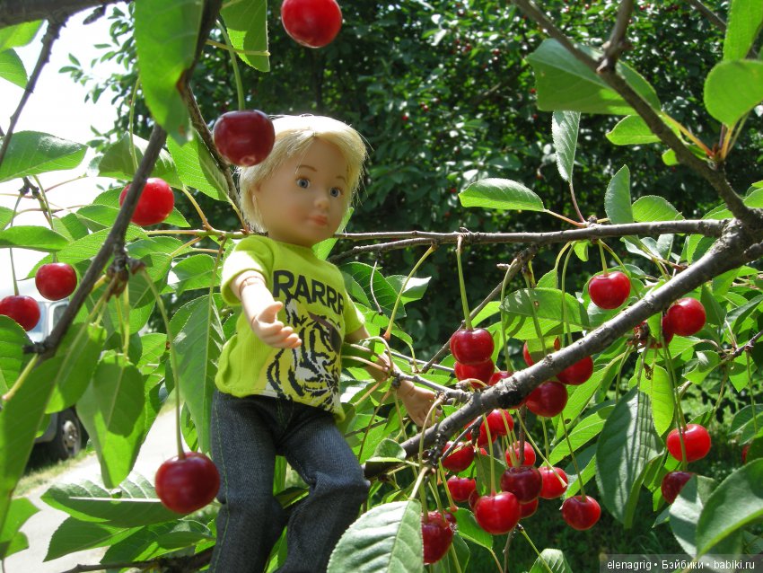 Куклы Kruselings от Kathe Kruse