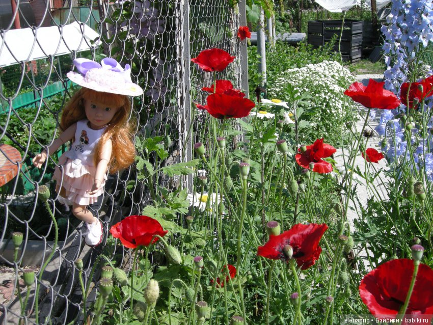 Куклы Kruselings от Kathe Kruse