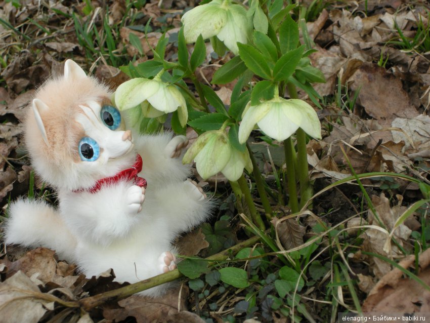 Куклы с цветами