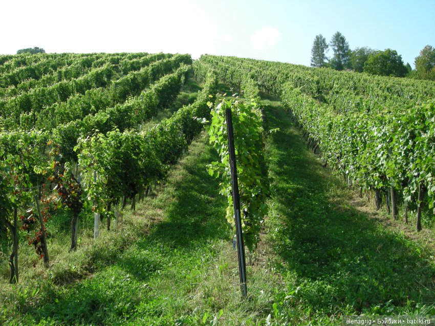 Луна Крузелинг путешествует по Австрии (фото 7)