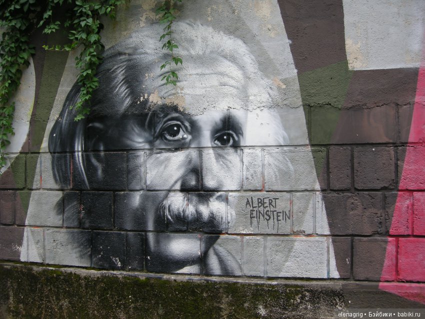 Селина Kidz'n'Cats в Хорватии