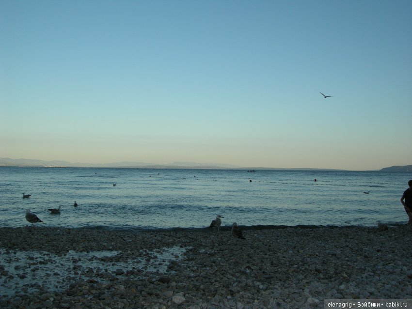 Селина Kidz'n'Cats в Хорватии. Часть вторая