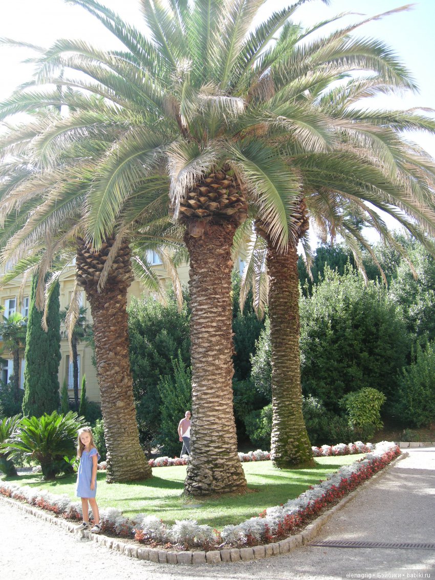 Селина Kidz'n'Cats в Хорватии. Часть вторая