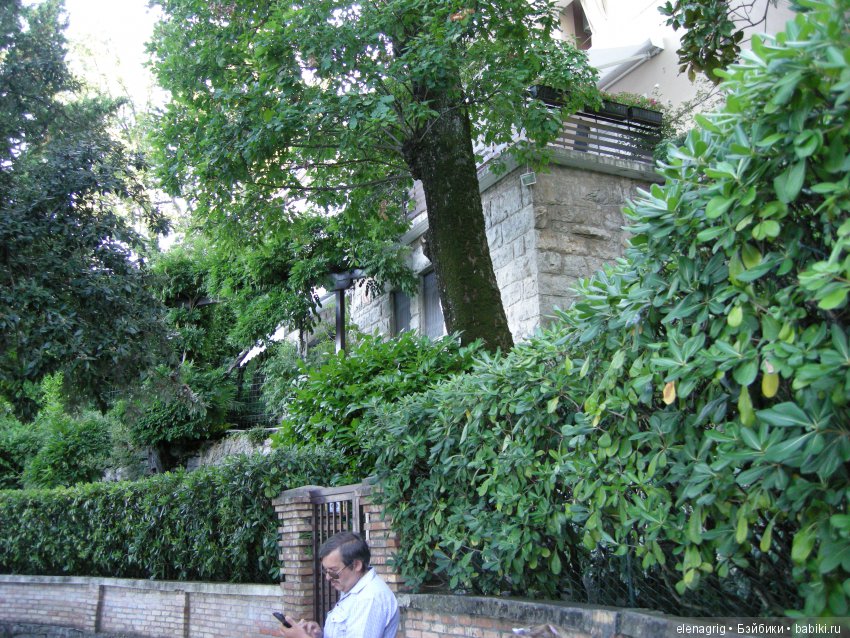 Селина Kidz'n'Cats в Хорватии. Часть вторая