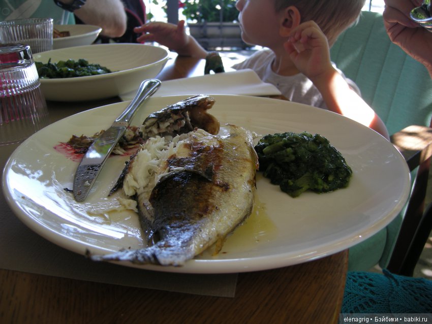 Селина Kidz'n'Cats в Хорватии. Часть вторая