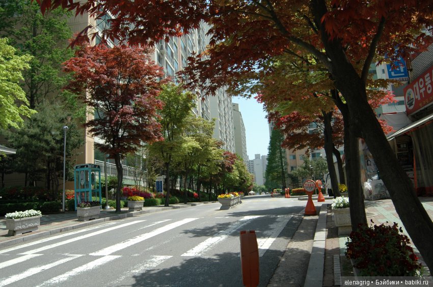 Южная Корея