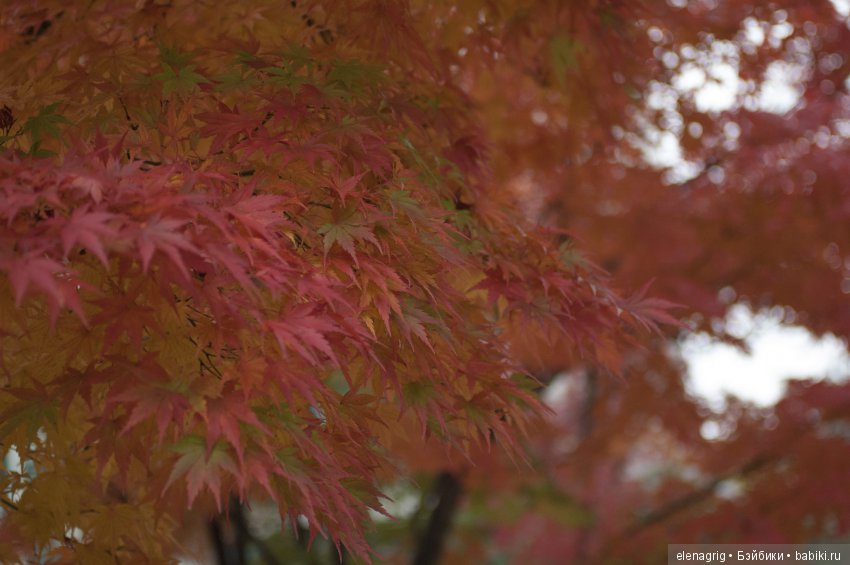 Южная Корея