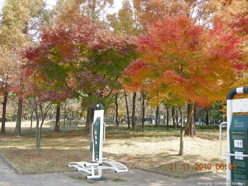 Воспоминания о Южной Корее (фото 3)