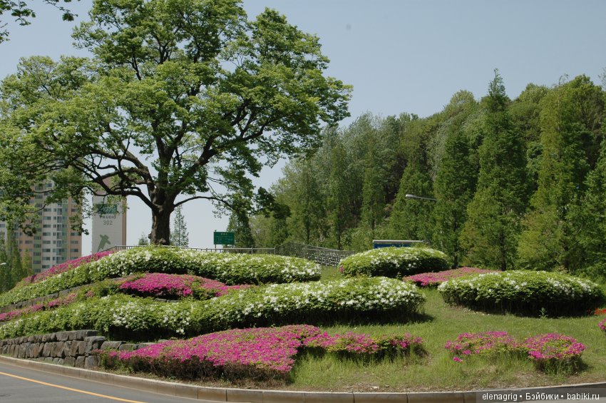 Южная Корея