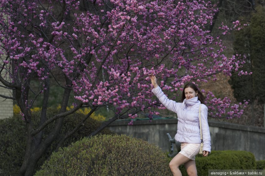 Южная Корея