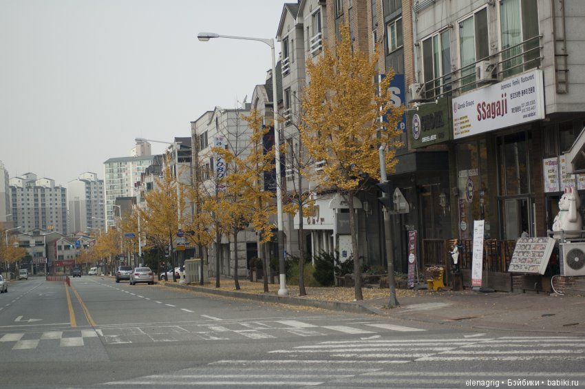 Южная Корея