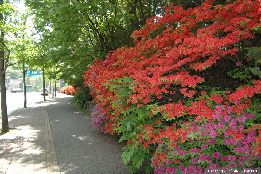 Южная Корея