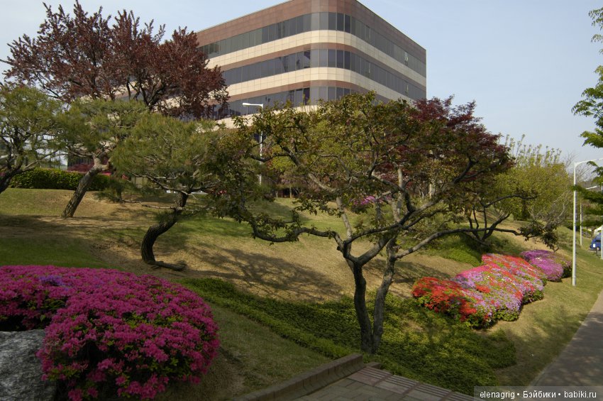 Южная Корея