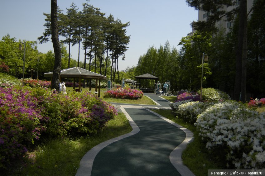 Южная Корея