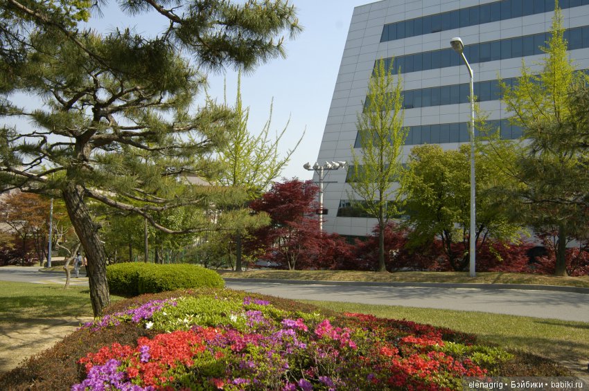 Южная Корея