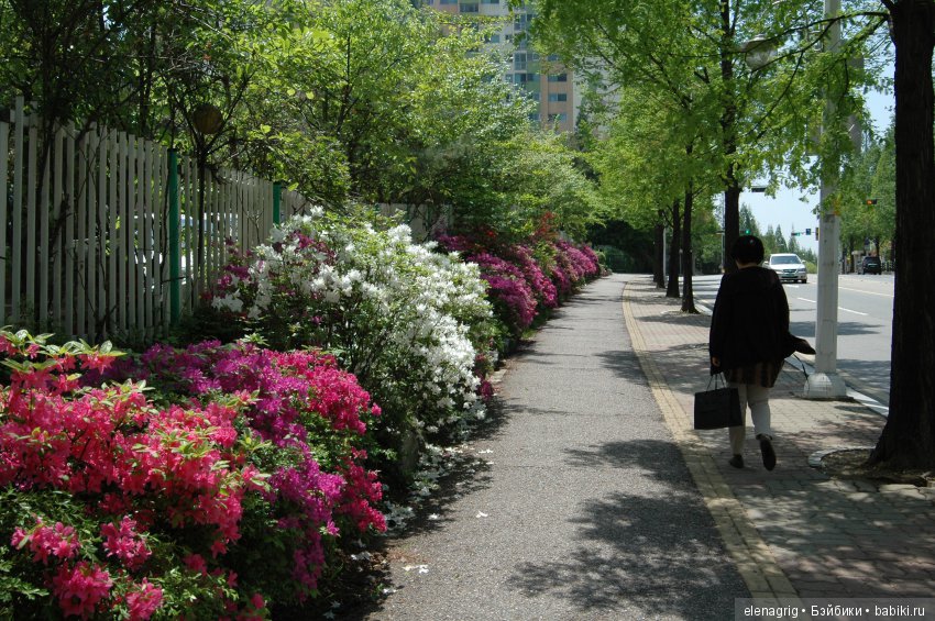 Южная Корея