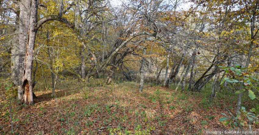 куклы Heidi Plusczok dolls, Хейди Плюсчок