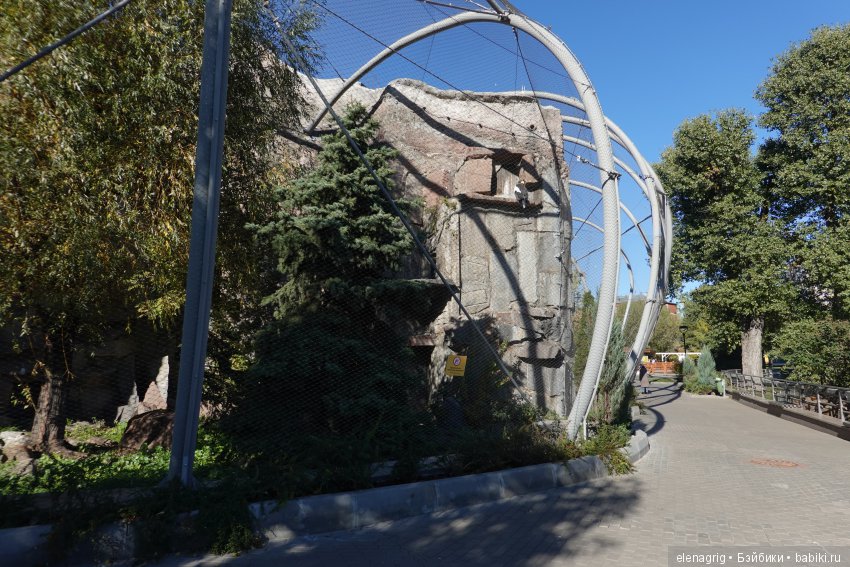 московский зоопарк