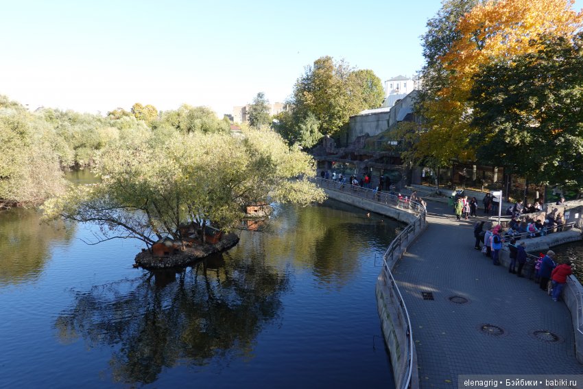 московский зоопарк