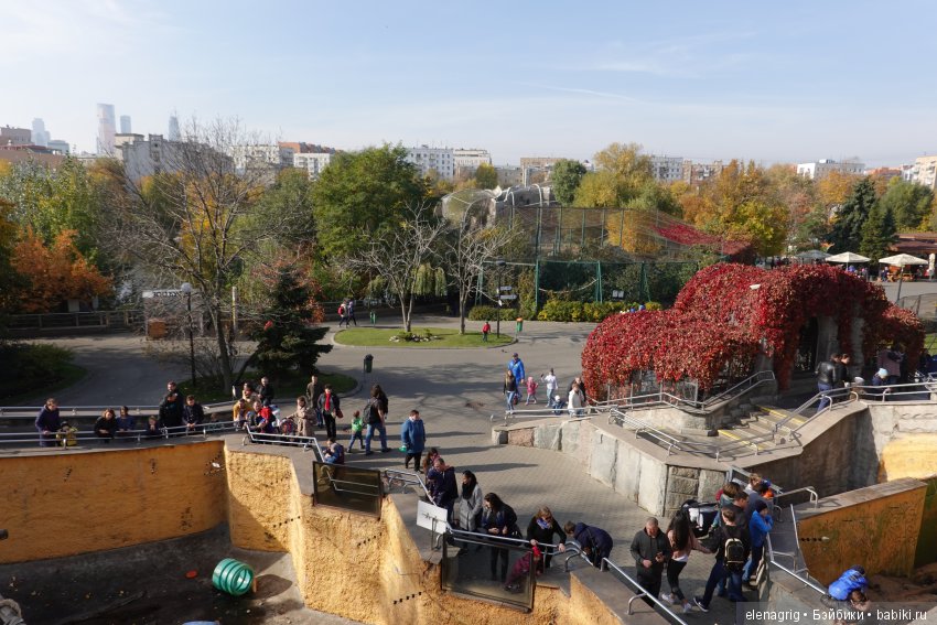 московский зоопарк