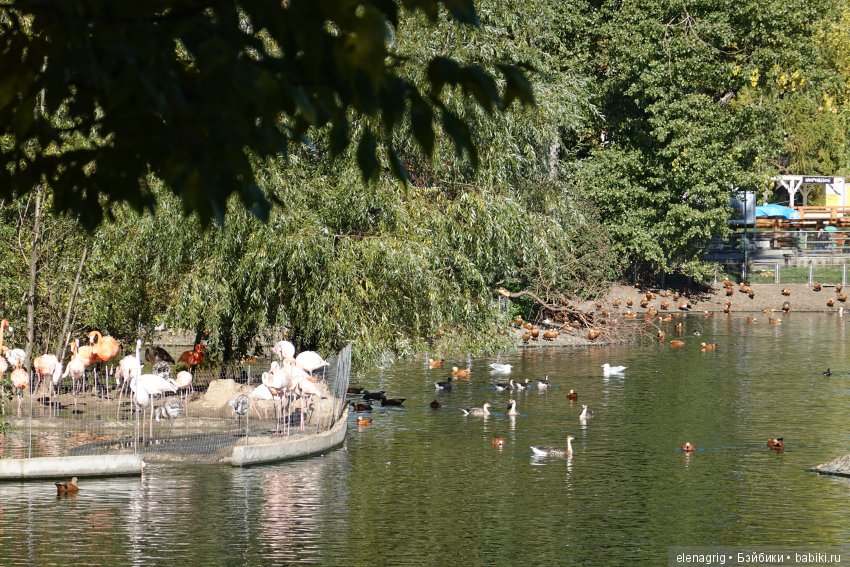 московский зоопарк