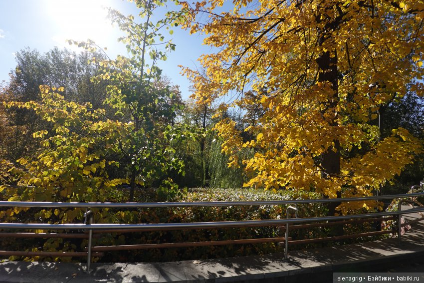 московский зоопарк