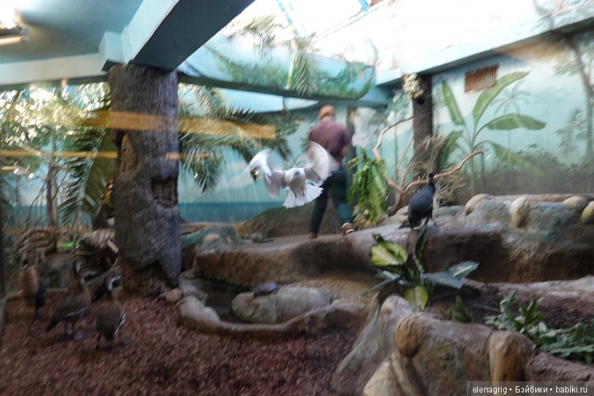 московский зоопарк