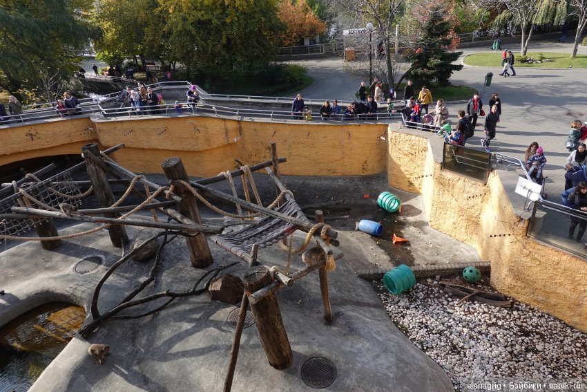 московский зоопарк