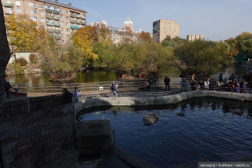 московский зоопарк