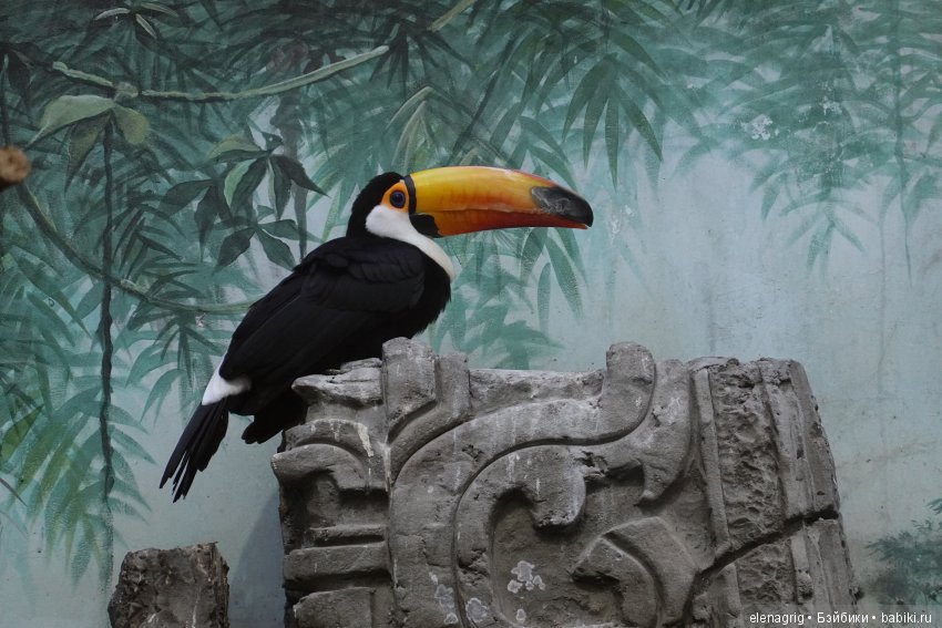 московский зоопарк