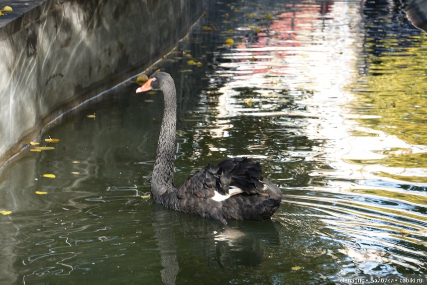 московский зоопарк
