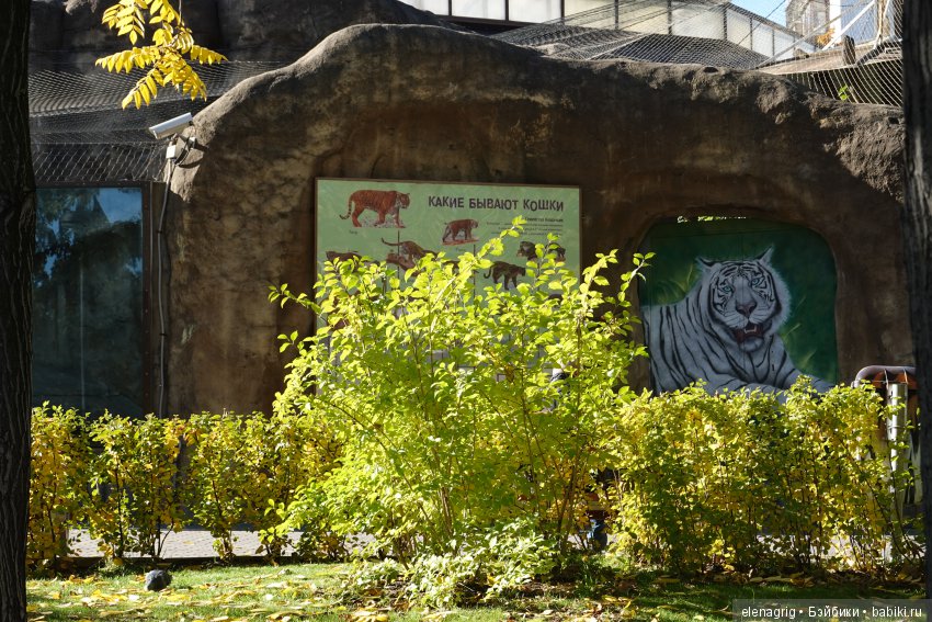 московский зоопарк